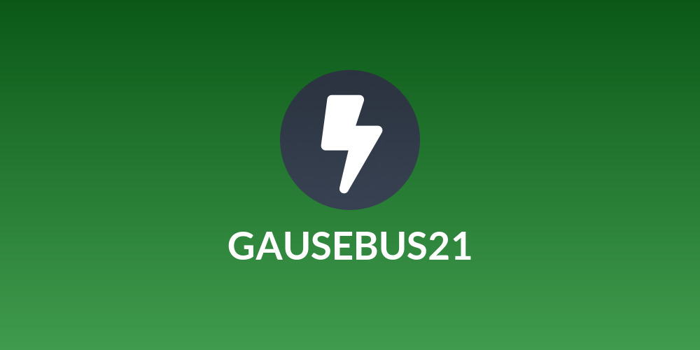 GAUSEBUS21⚡️