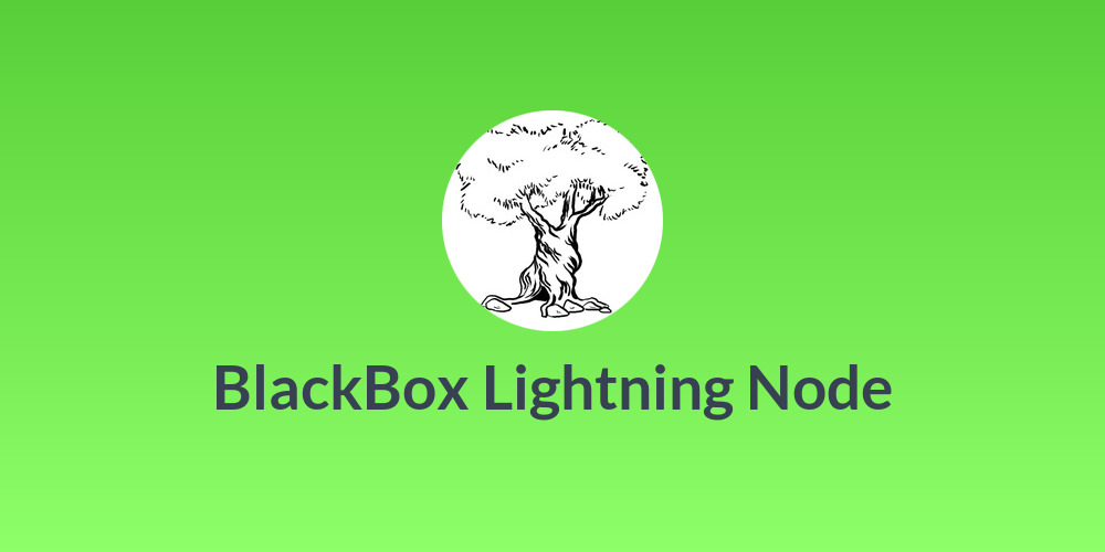 BlackBox Lightning Node