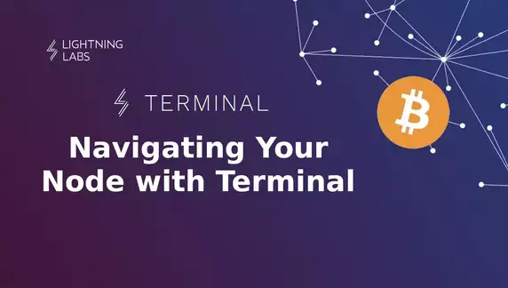 Navigating Your LND Node with Terminal