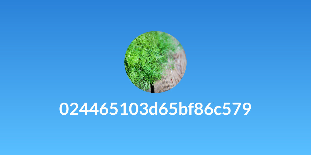 024465103d65bf86c579