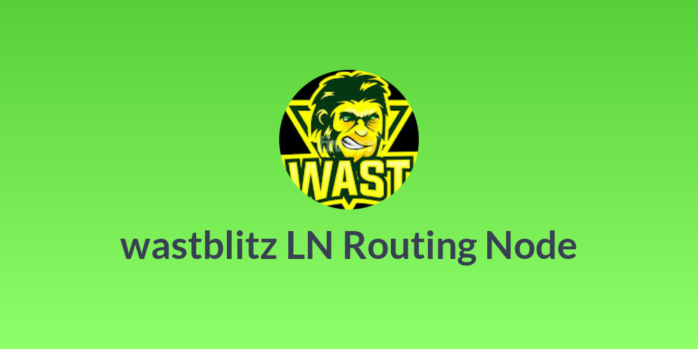 wastblitz LN Routing Node